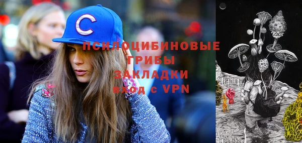 соль курить ск Вязьма